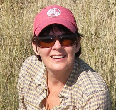 欧冠官方网站创新论坛第一千五百四十四讲：Intra-plate oceanic island basalts:  retrospective and perspectives 