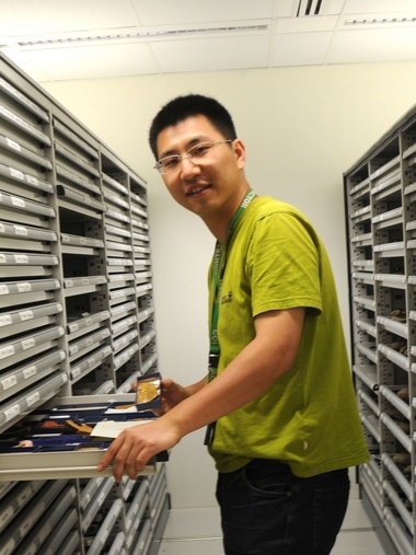 欧冠官方网站创新论坛第一千八百零一讲：虫鸣凤舞伴花香：现代陆地生态系统的起源