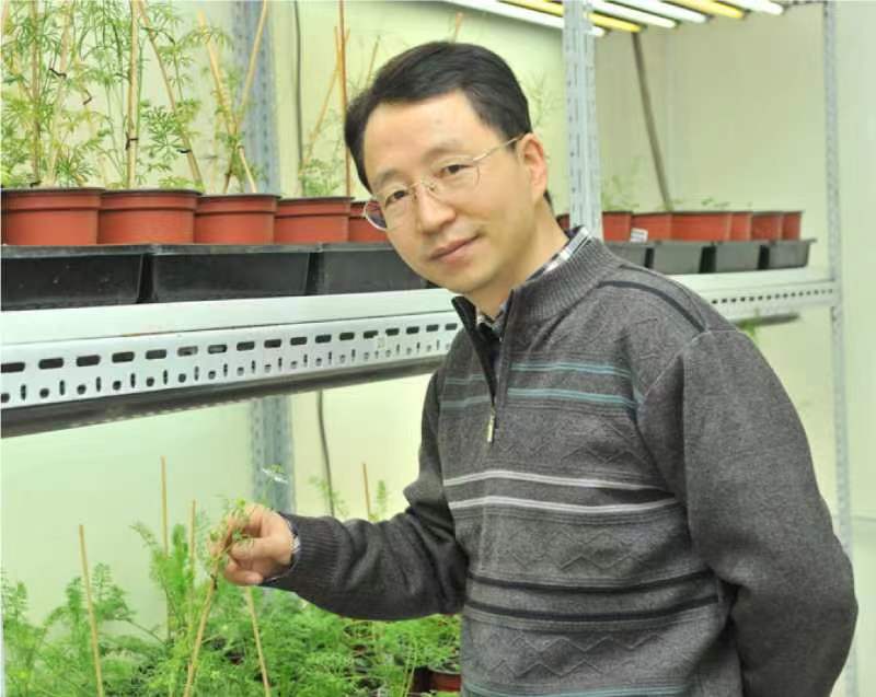 欧冠官方网站创新论坛第一千二百六十八讲暨120周年校庆年系列活动：复杂花瓣的发育与进化