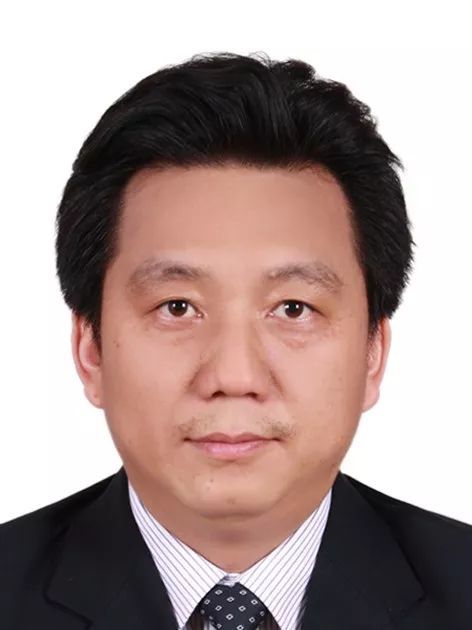 欧冠官方网站创新论坛第一千零五十二讲： 有机染料—功能化及稳定性强化