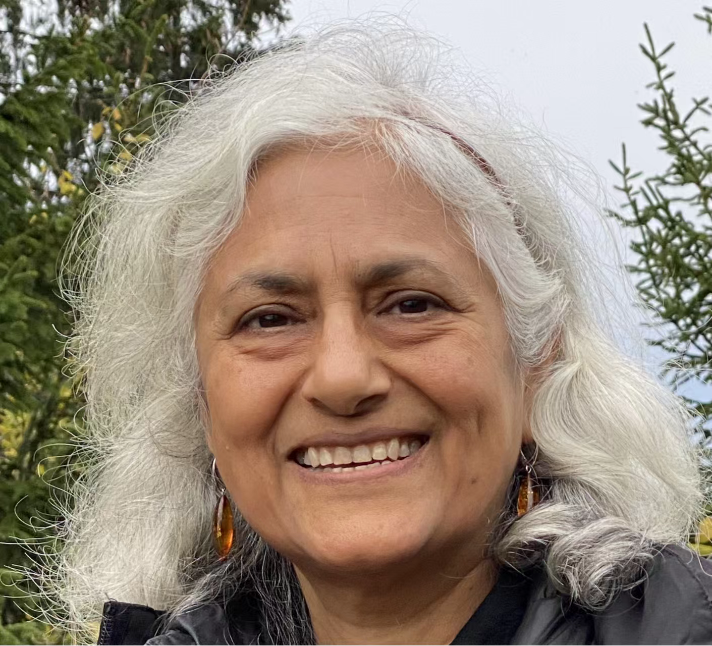 欧冠官方网站创新论坛第一千七百三十九讲：Fractionalized excitations in Quantum Spin Liquids and their Detection