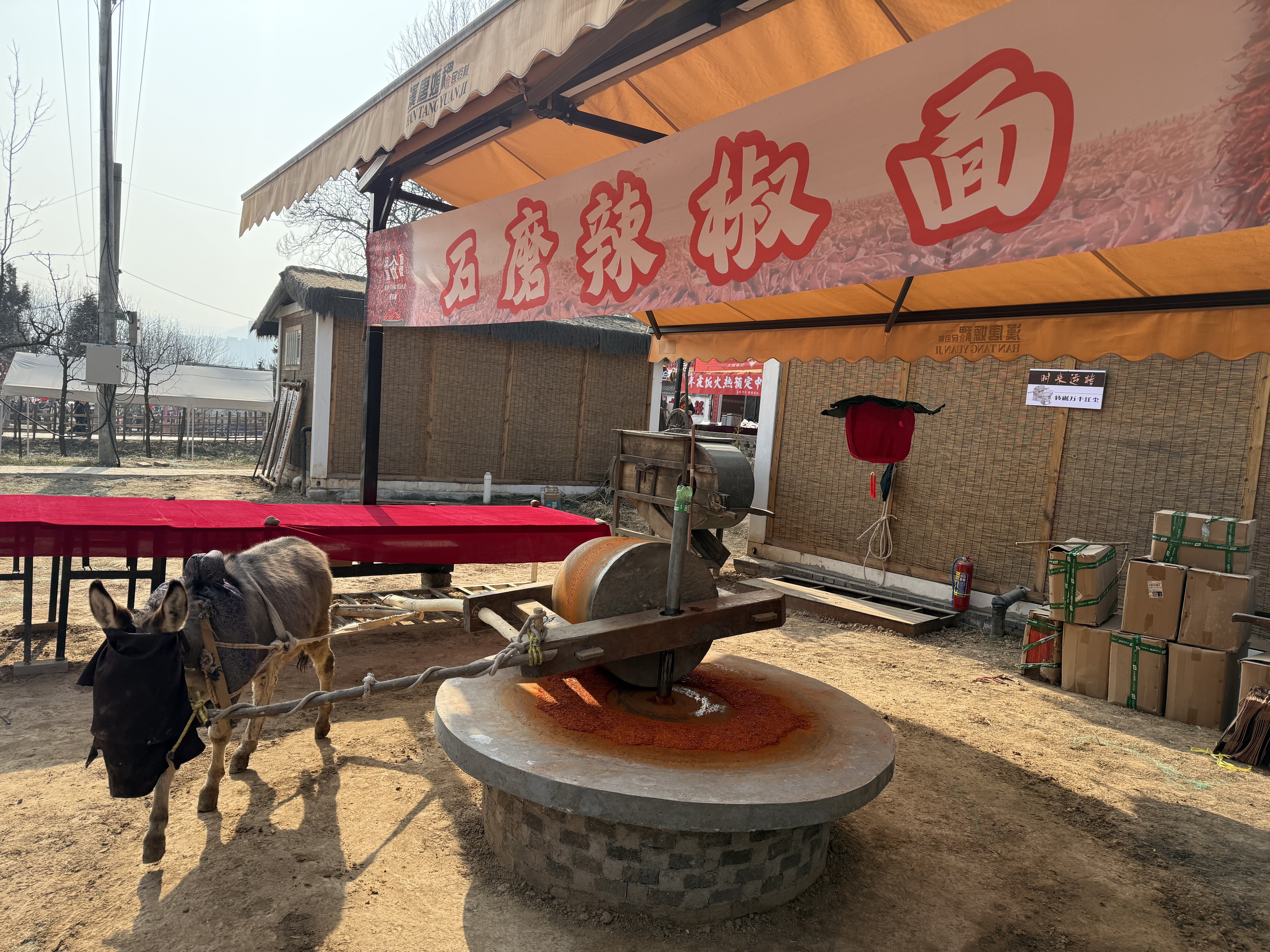 308368085331963905.jpg 308368085331963905.jpg