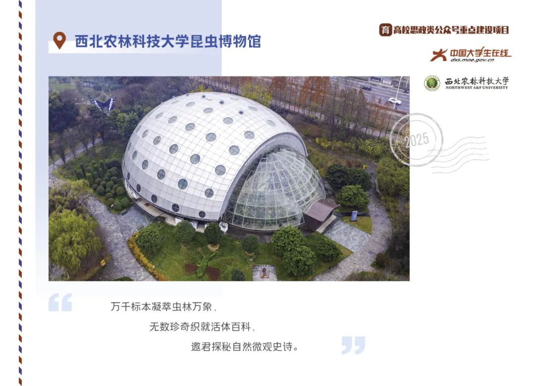 丝路起点上的馆藏智慧!陕西七所高校带你探秘→